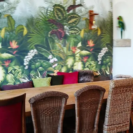 La 21 Avenue Des Corbieres Bed & Breakfast Durban-Corbieres
