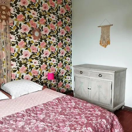 La 21 Avenue Des Corbieres Bed & Breakfast 3*
