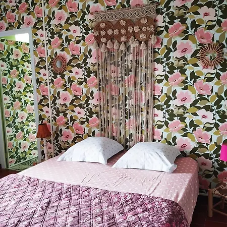 Bed & Breakfast La 21 Avenue Des Corbieres 3*